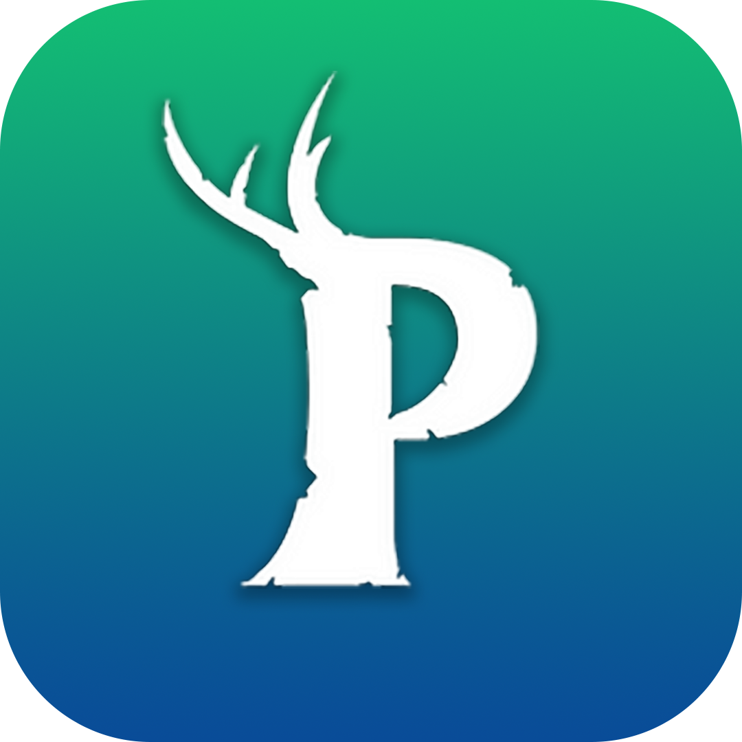 DEV PALWORLD